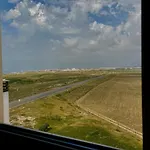 37 - Driftwood Ocean