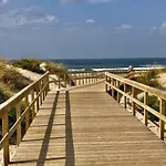 37 - Driftwood Ocean 佩尼契