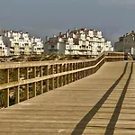 37 - Driftwood Ocean * 佩尼契