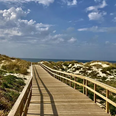 Daire 37 - Driftwood Ocean *