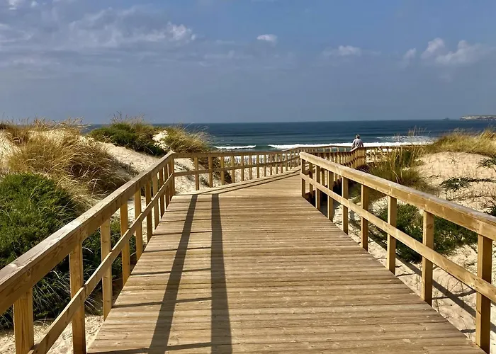 37 - Driftwood Ocean Peniche